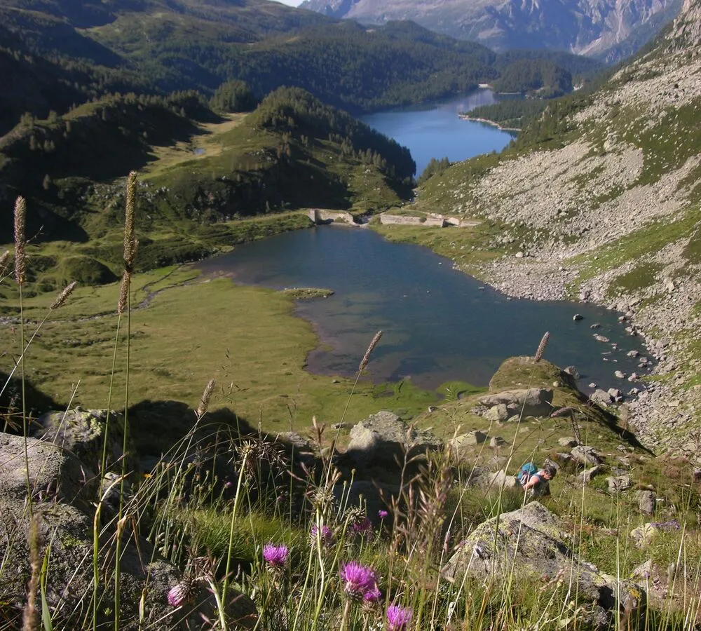 Parco Naturale Alpe Devero