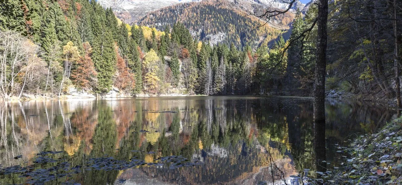 Escursionismo in Estate