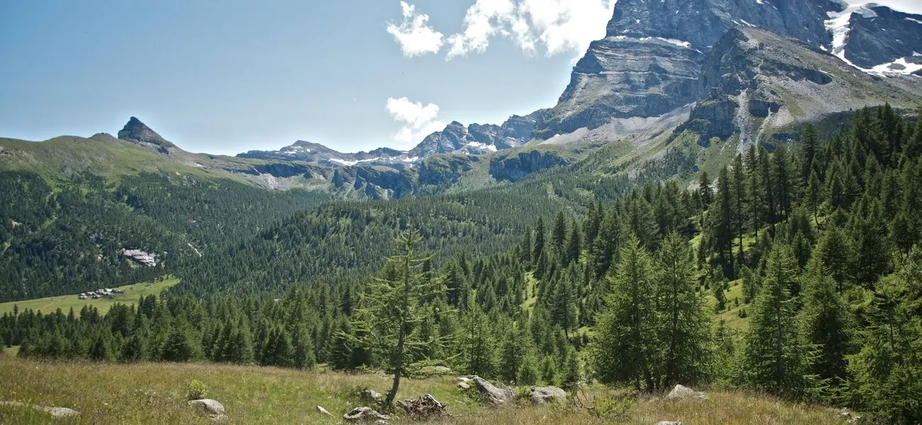 Parco Naturale Veglia Devero