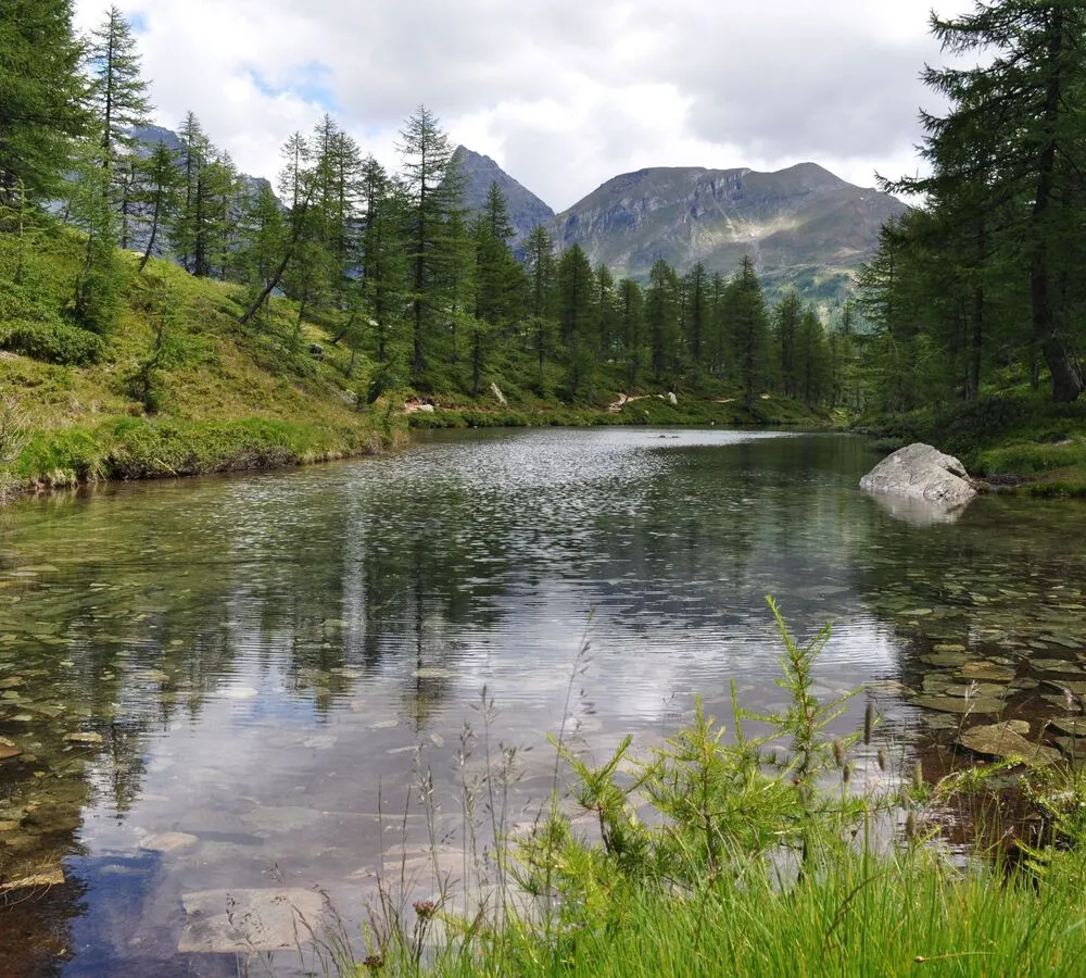 Escursioni in Val Divedro