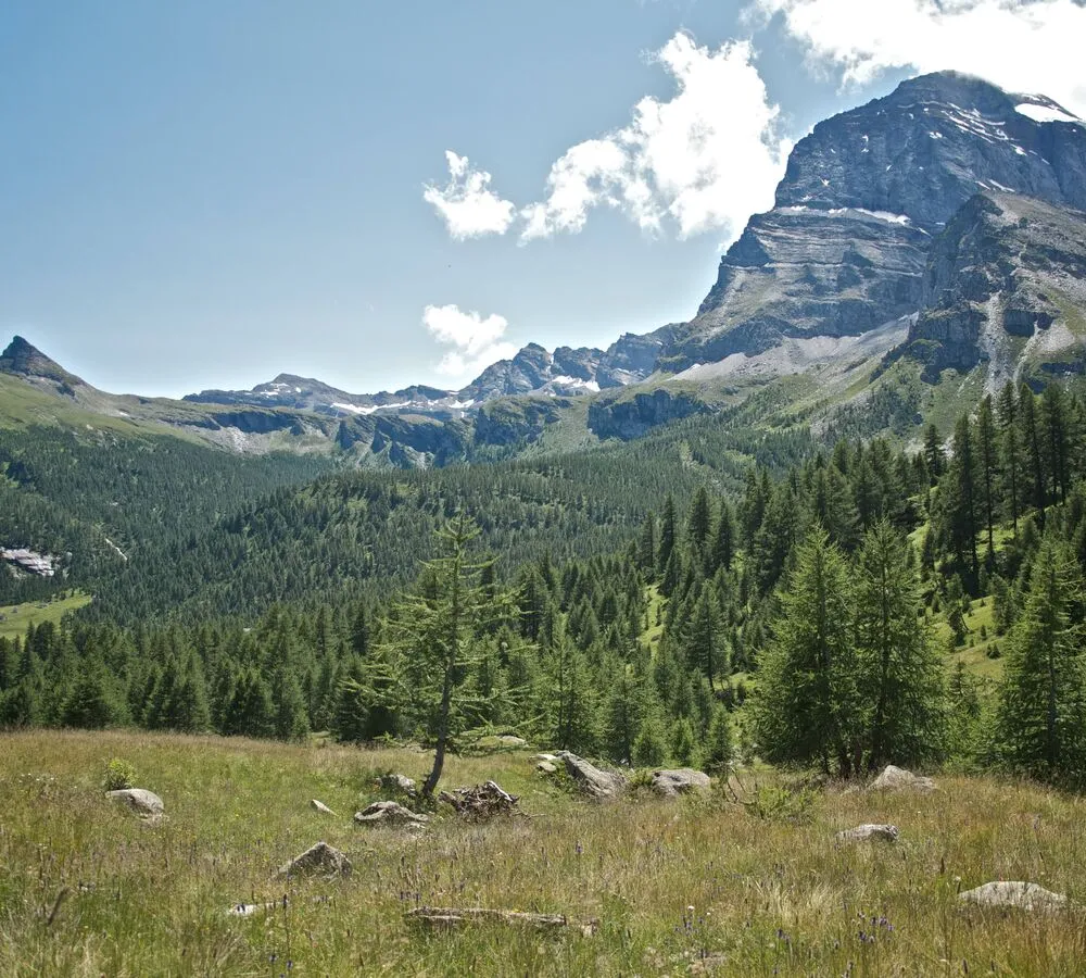 Parco Naturale Veglia Devero